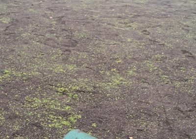 Schritt 3 der Begrünung des Daches