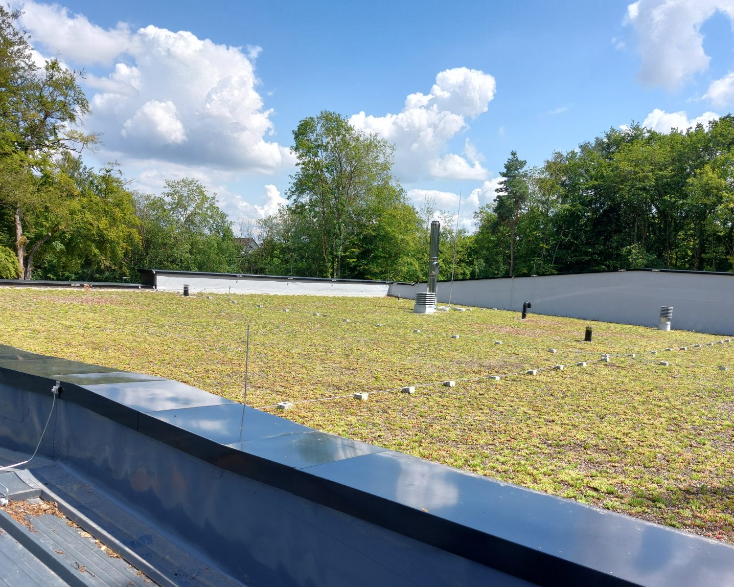 Schritt 5 der Begrünung des Daches